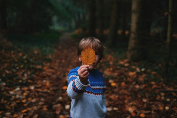 Child relocation disputes